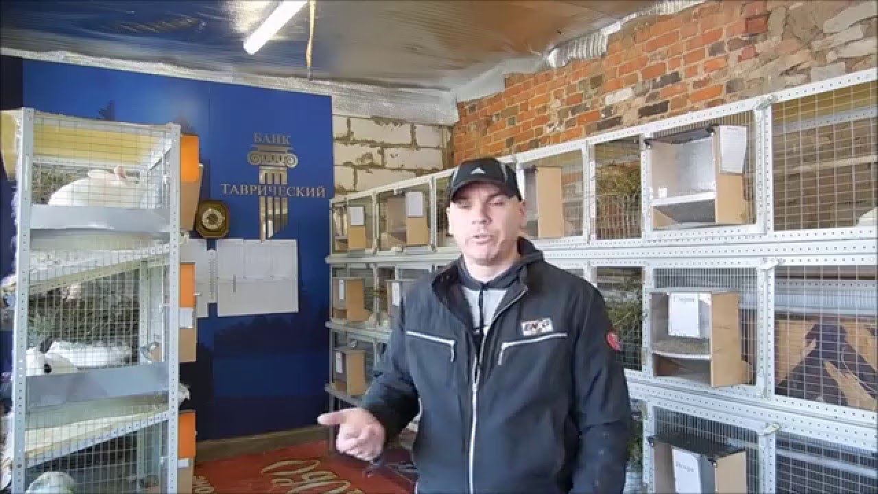 Кроликобизнес 3