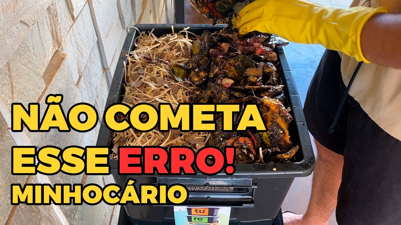 Minha fazenda de Minhocas Falhou! O Que Fiz de Errado?
