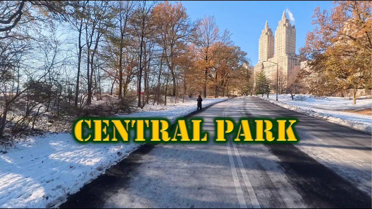 Central Park Winter Run 4K - 38 Min Run