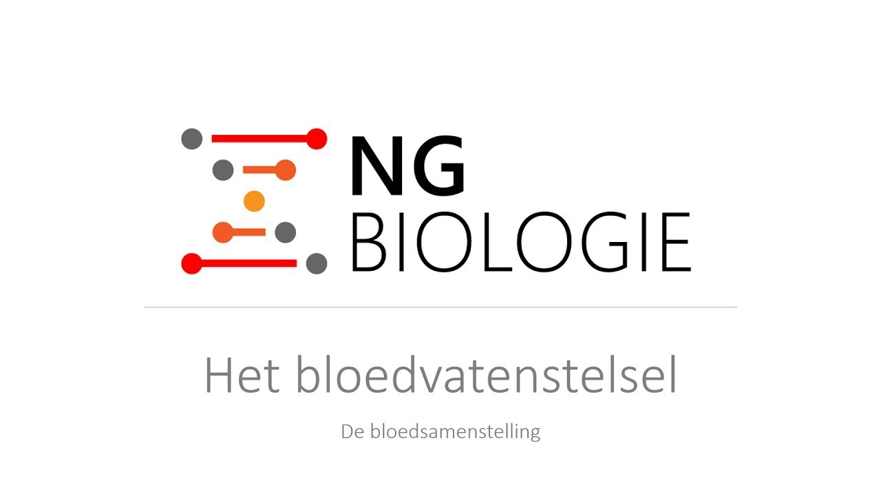 Het bloedvatenstelsel - de bloedsamenstelling - HAVO/VWO
