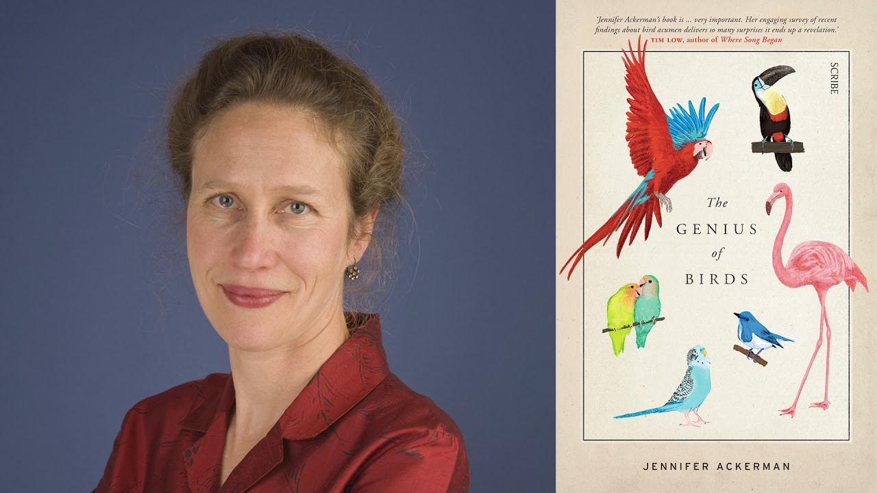 Jennifer Ackerman: The Genius of Birds – Melbourne Writers Festival Podcast