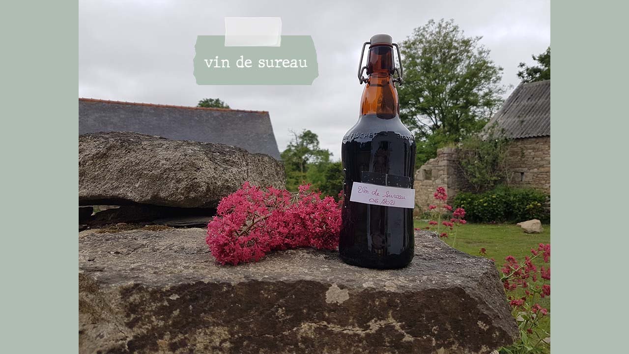 Faire son propre vin de sureau