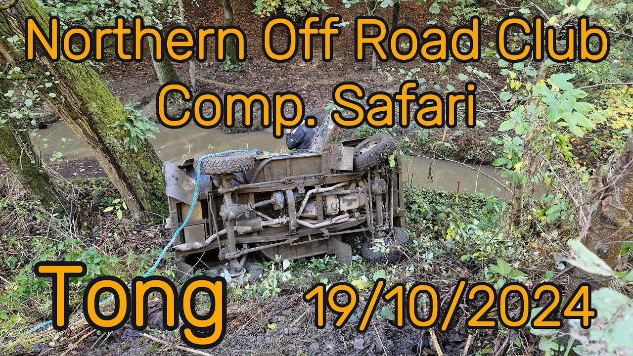 NORC Tong 20241019 1