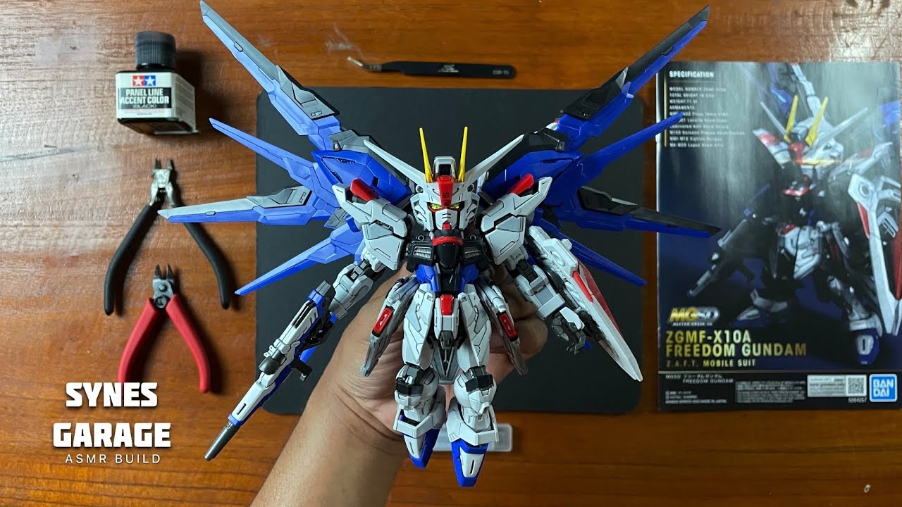 MGSD Gundam Freedom | ASMR BUILD | Master Grade SD | Gundam Seed