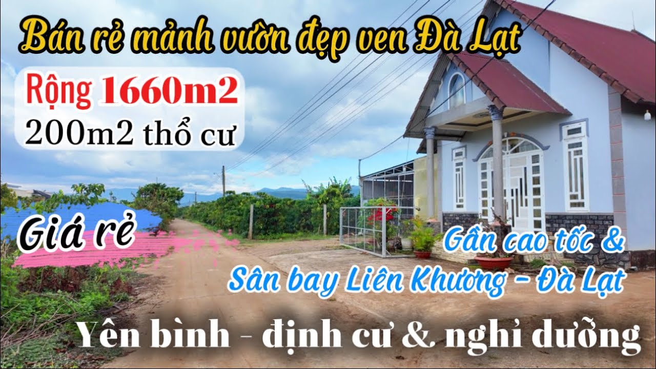 🏡Bán rẻ mảnh vườn đẹp ven Đà Lạt rộng 1660m2 có 200m2 thổ cư gần sân bay Liên khương & cao tốc !