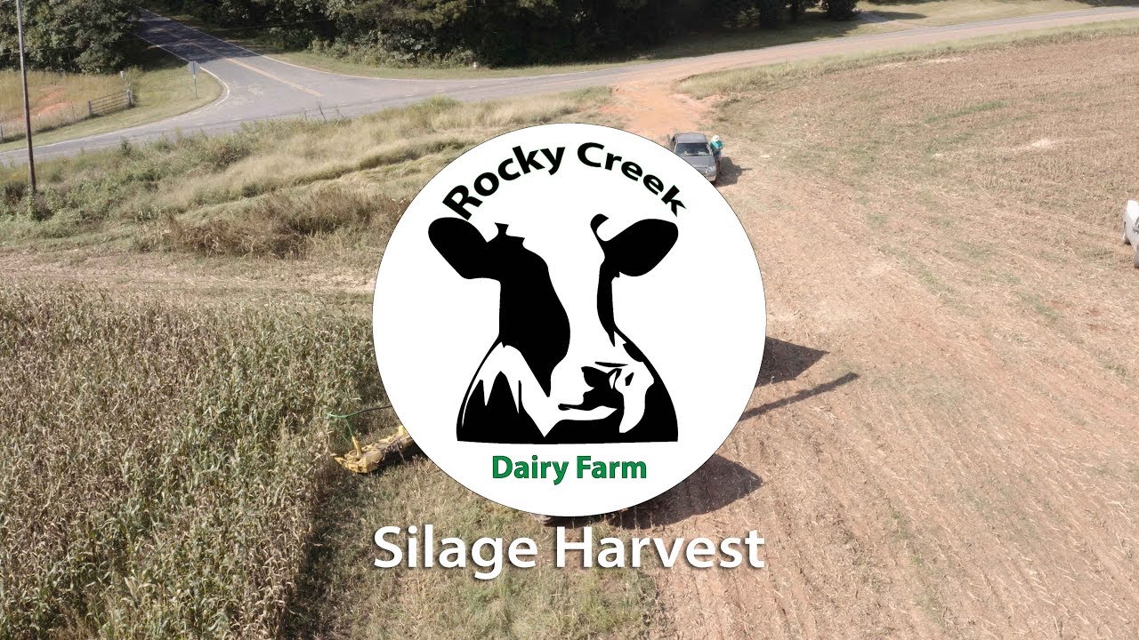 Rocky Creek Dairy Farm Silage Harvest | NC Farm Life