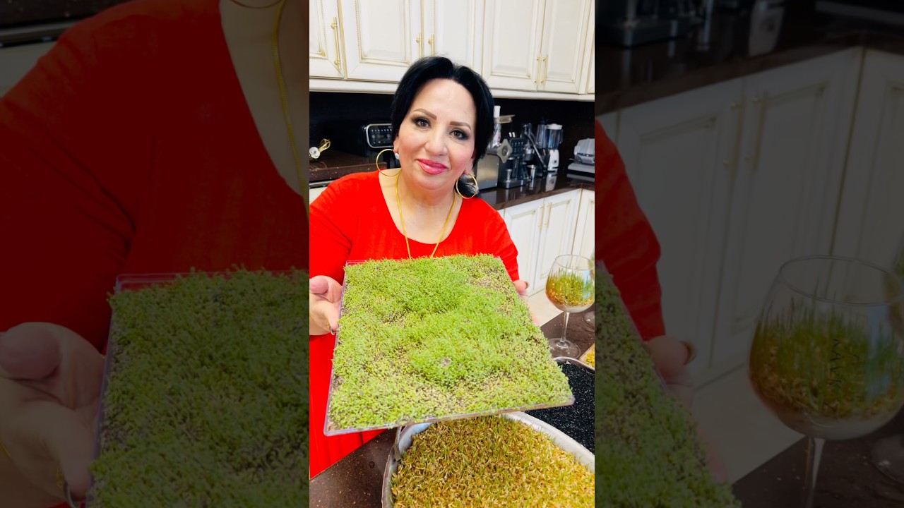 ВЫРОСЛА МОЯ ЗЕЛЕНЬ ЗА 3 ДНЯ!🌱 #арусякавказ