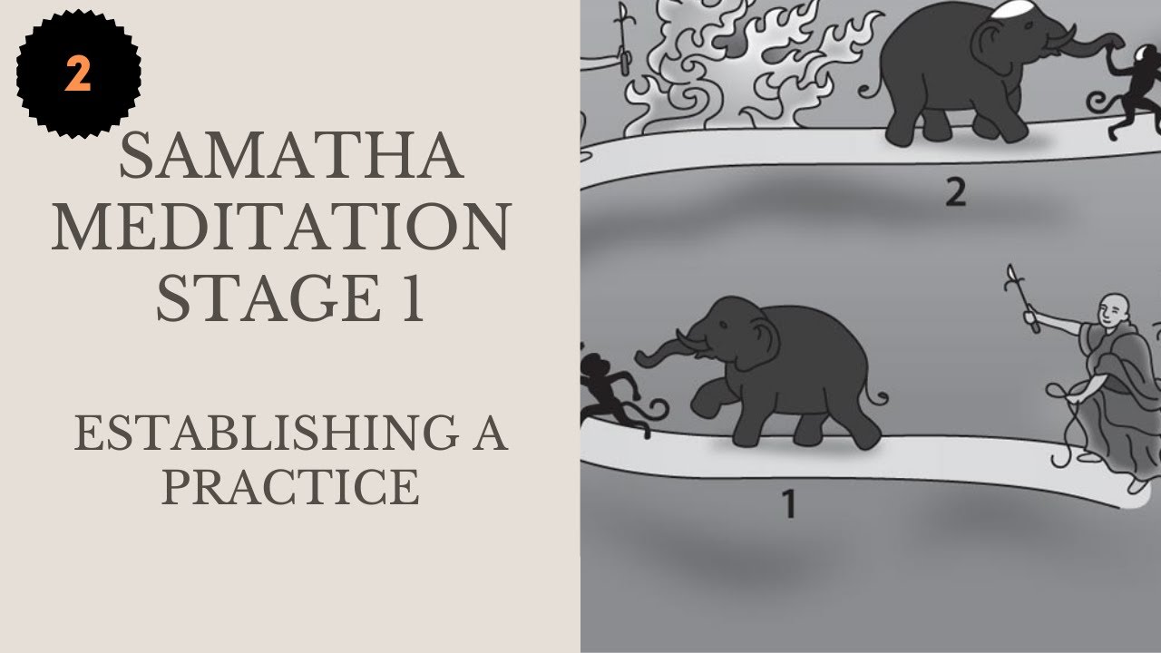 Stage1 | Establishing  A Practice | Samatha Meditation | The Mind Illuminated
