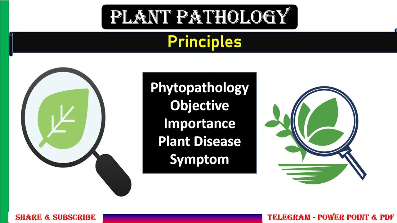 #PPP1 -Principles of Plant Pathology, Phytopathology, Objectives, Importance, Plant Disease, Symptom