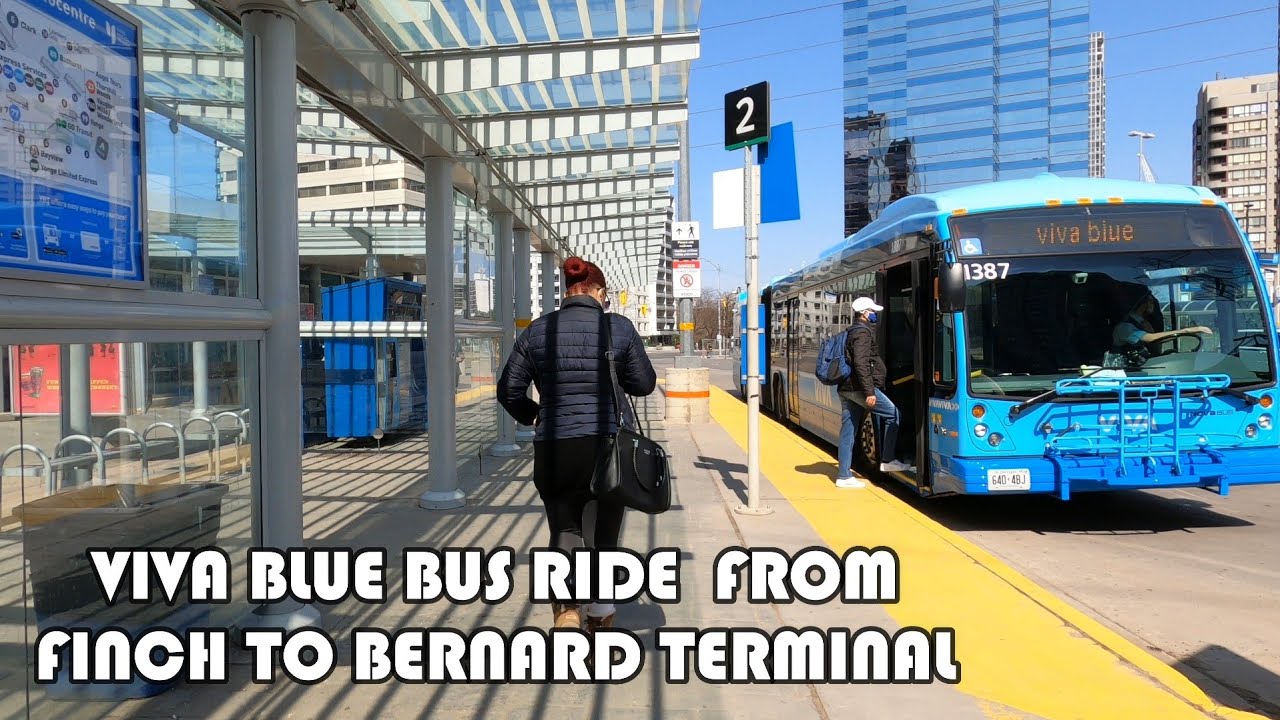 4k Viva Blue Bus Ride | York Region Rapid Transit - Finch To Bernard Terminal | Richmond Hill Centre