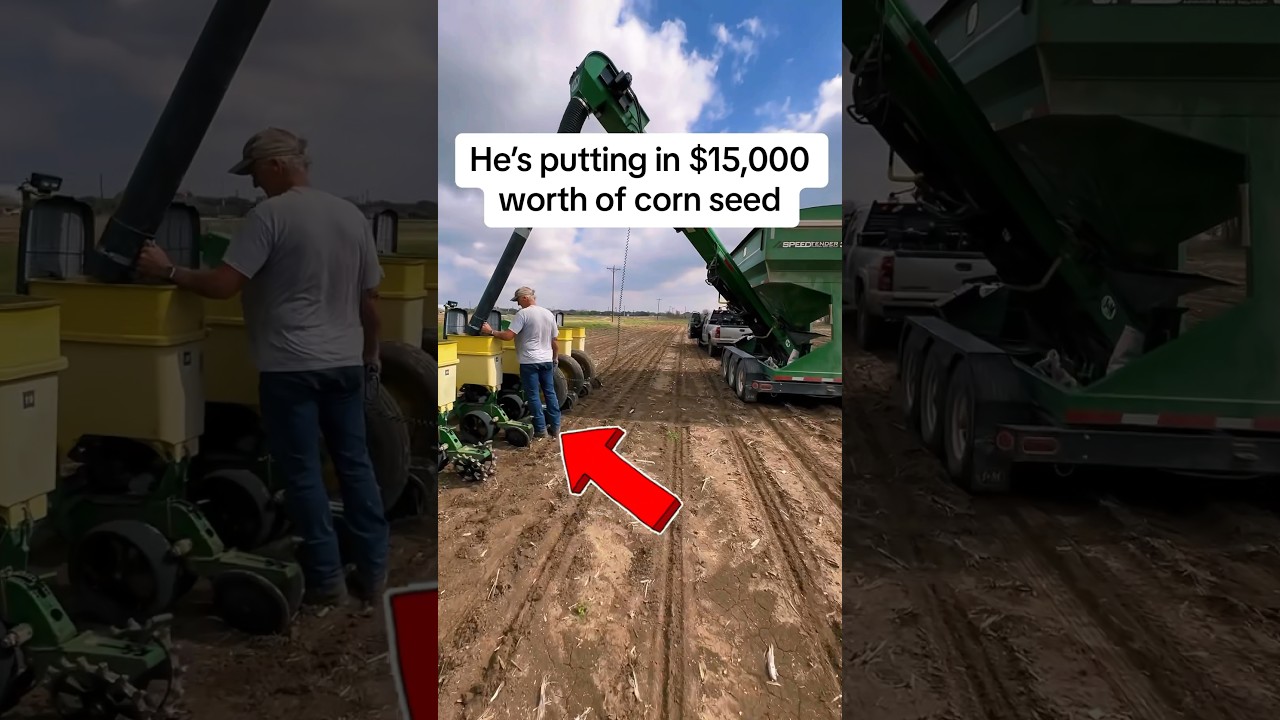 $15,000 worth of corn seed!  #farming #farmer #farmlife #farm #agriculture #farmers #farmboy