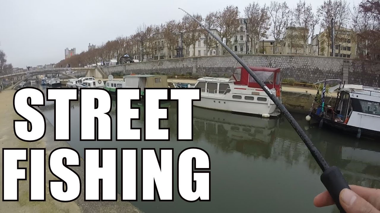 Le ZAP de FEELING #2 : RETOUR aux SOURCES