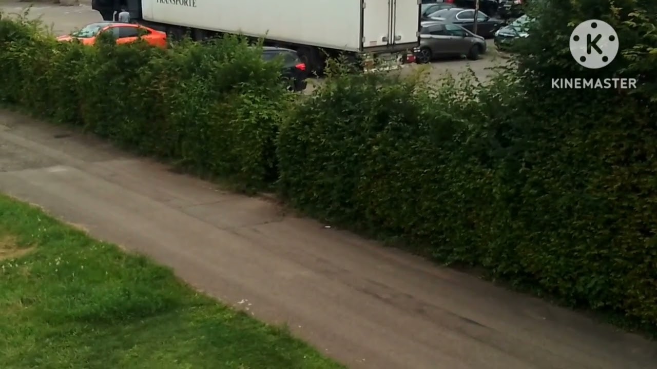 Mercedes Benz Truck Reefer Trailer