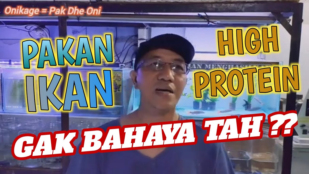 EFEK pakan ikan PROTEIN TINGGI PADA AIR dan SOLUSINYA