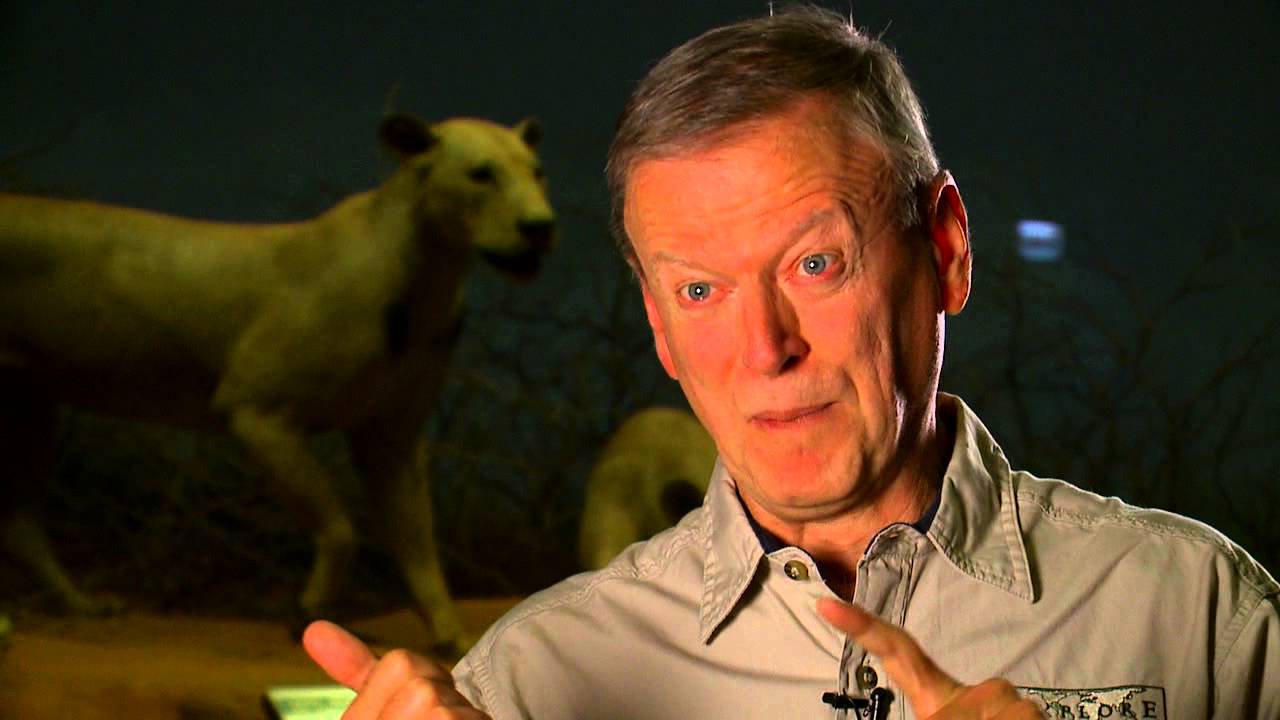 Tsavo Lions - Decades TV Network