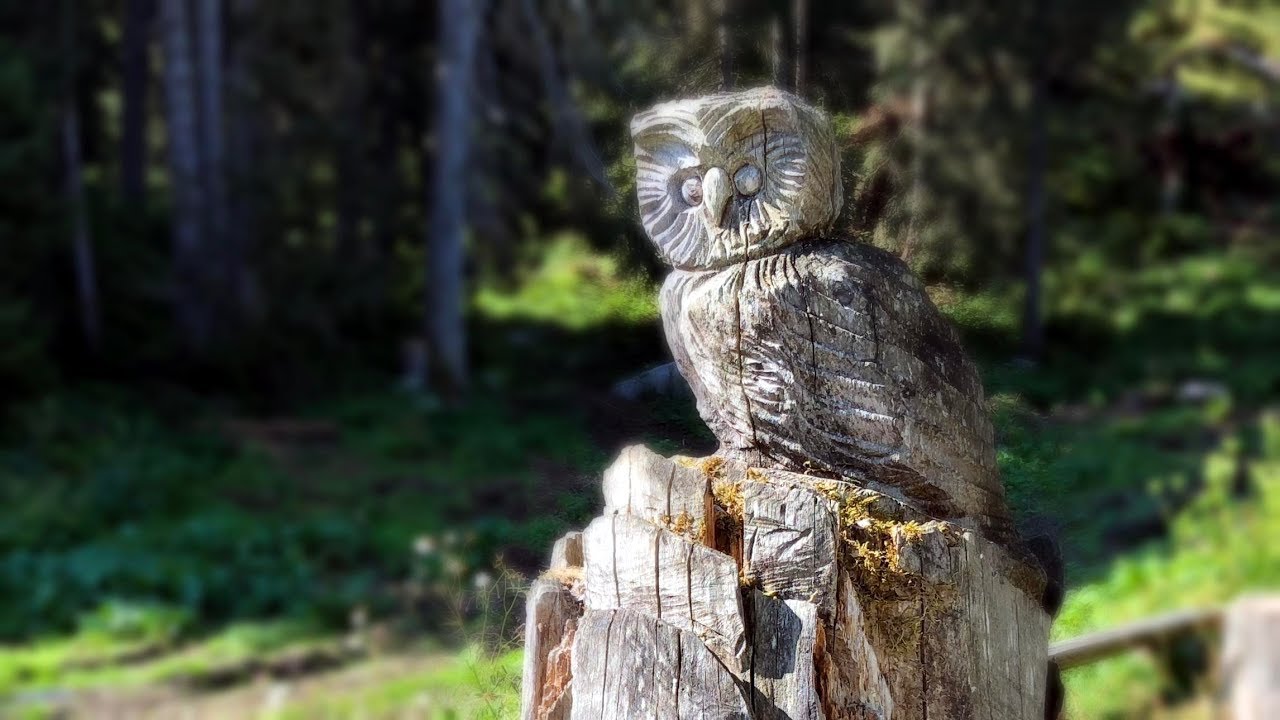 Klangweg… Oberdorf ( Wildhaus Toggenburg ) zum Iltios. Begleitet mit rassiger Schwyzerörgeli Musik.