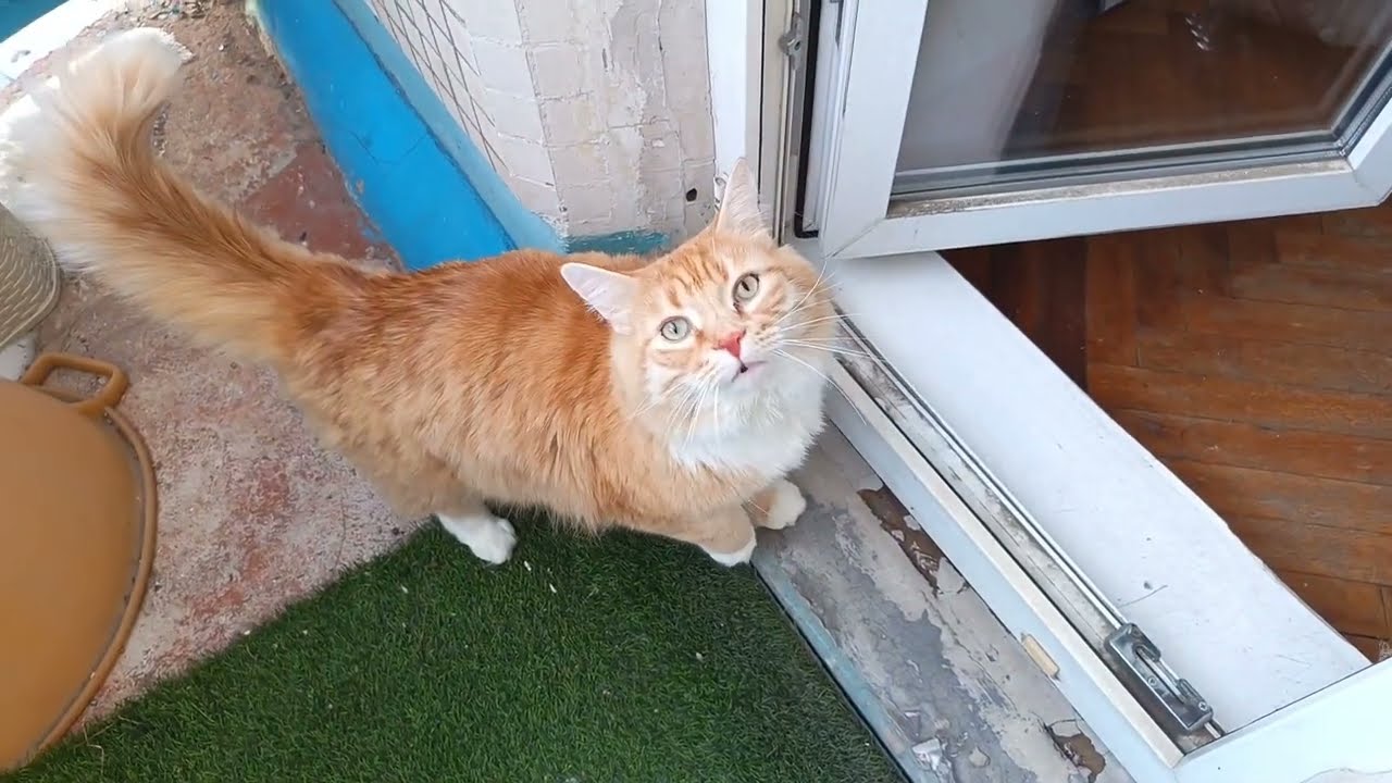 С Кузюшей, моим любимым солнечным сокровищем 🤗❤😘