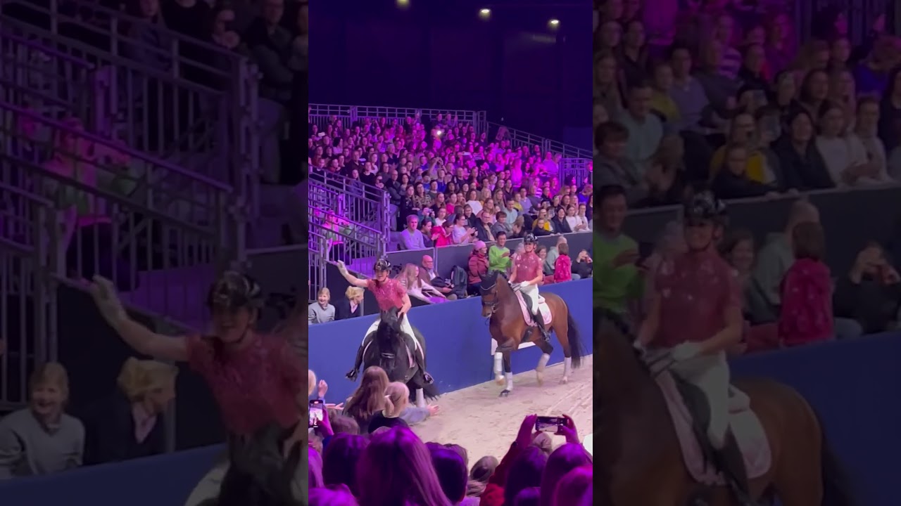 Horse Event Superstars 2024 met Britt Dekker
