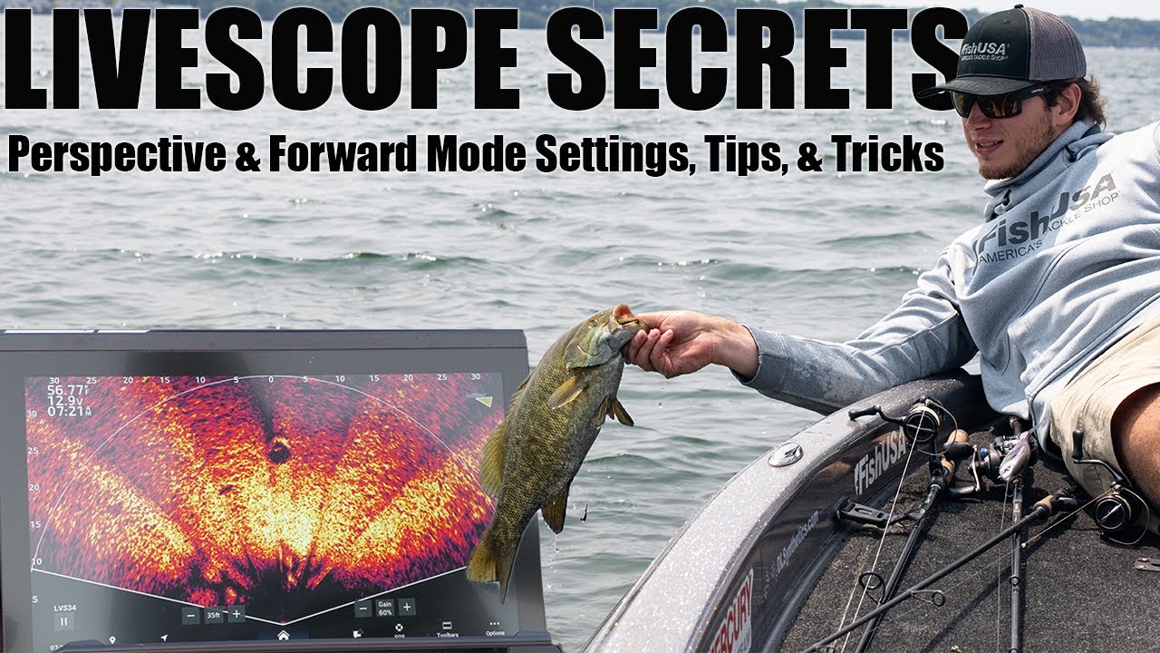 Using Livescope Perspective Mode to Catch BIG Smallmouth - Livescope Perspective & Forward Settings