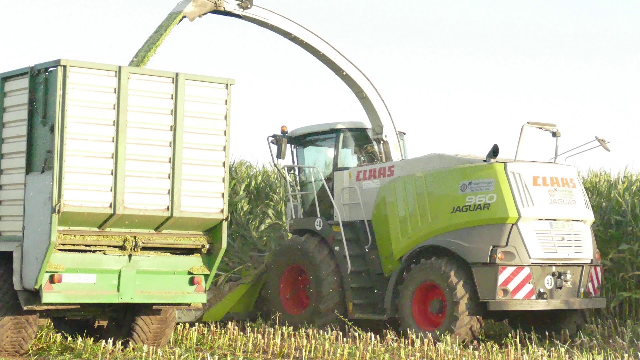 #FENDT