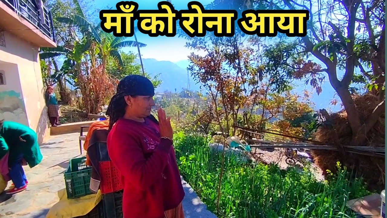 #31/365 माँ की ममता || pahadi lifestyle || Mr. Pahadhi