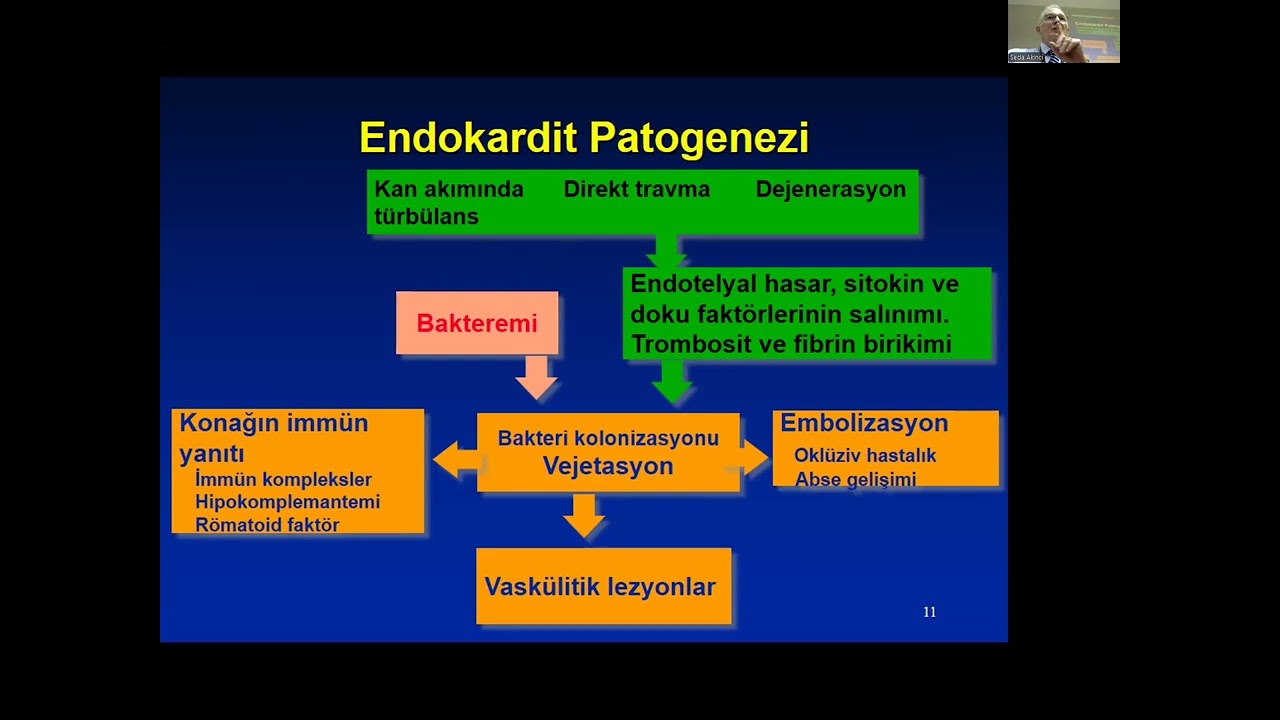 Prof. Dr. Murat Akova - '' İnfektif Endokardit '' - 09.01.2025