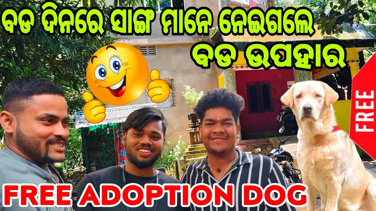 CHIKU-PET-VLOGS 👉ରୁ ଆସିକି ନେଇଗଲେ 🥰ସାଙ୍ଗ ମାନେ💯|| FREE ADOPTION DOG || IN #cuttack