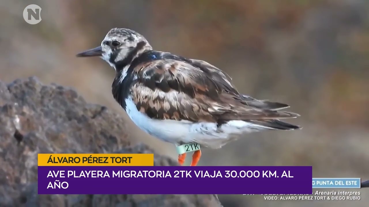 2TK | &Aacute;lvaro P&eacute;rez Tort &ndash; Fot&oacute;grafo.