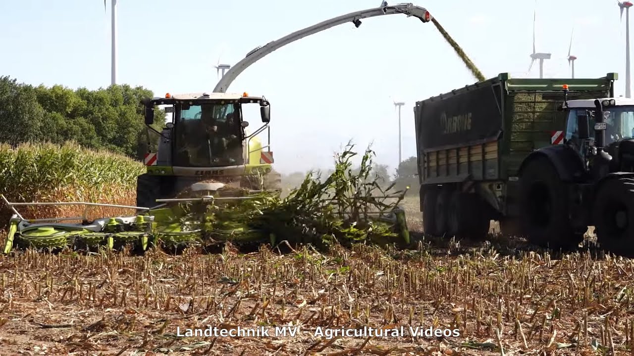 Claas - Fendt - MAN -++ / Mais Silage - Corn Silage  2020  pt.2