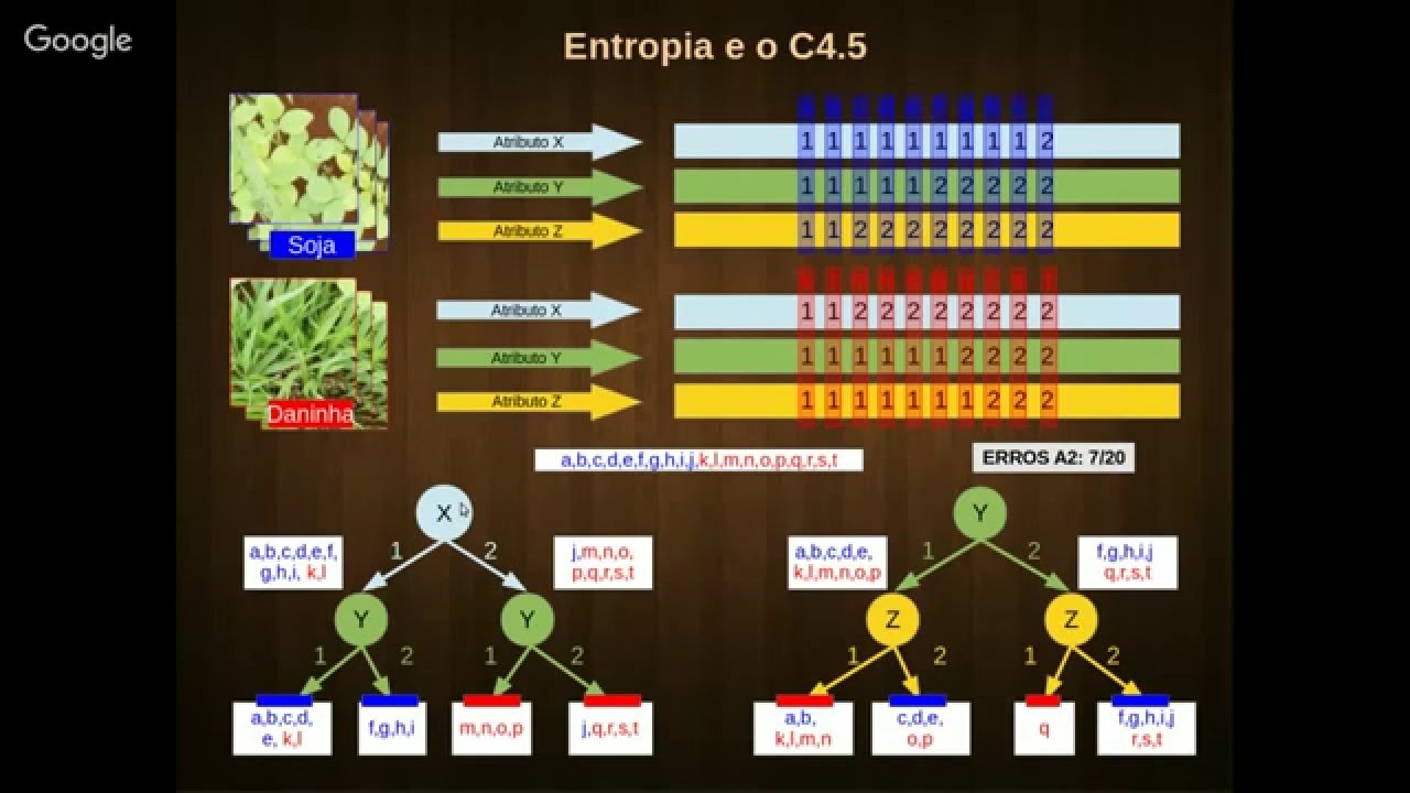 Entropia e Aprendizagem de Árvores de Decisão - C4.5