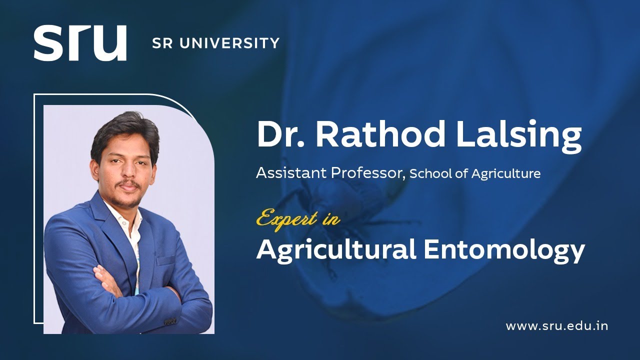 Agricultural Entomology | SR University | Career Opportunities, IPM & Insect Science | Dr Rathod Lal