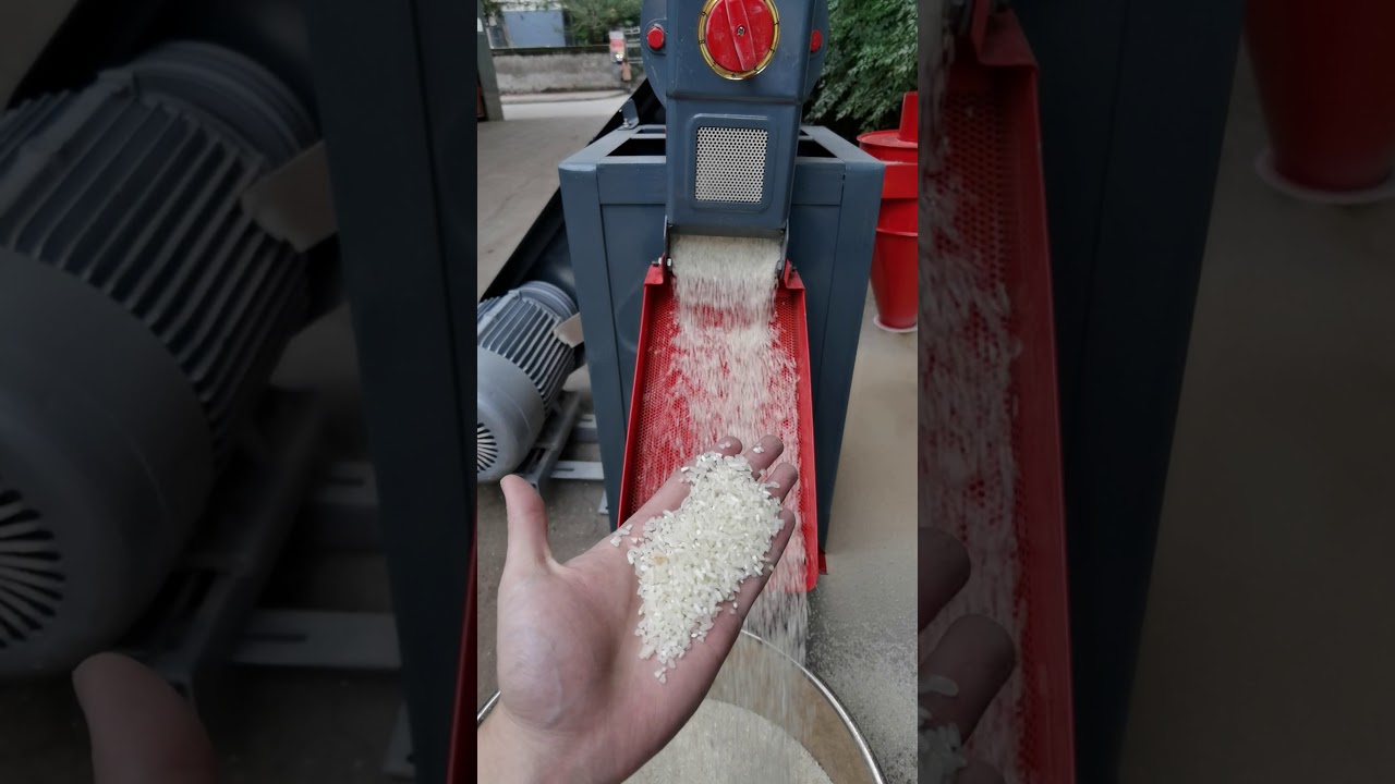 Business Rice Mill Machine Test (600kg/h Productivity With A 10HP Electric Motor)