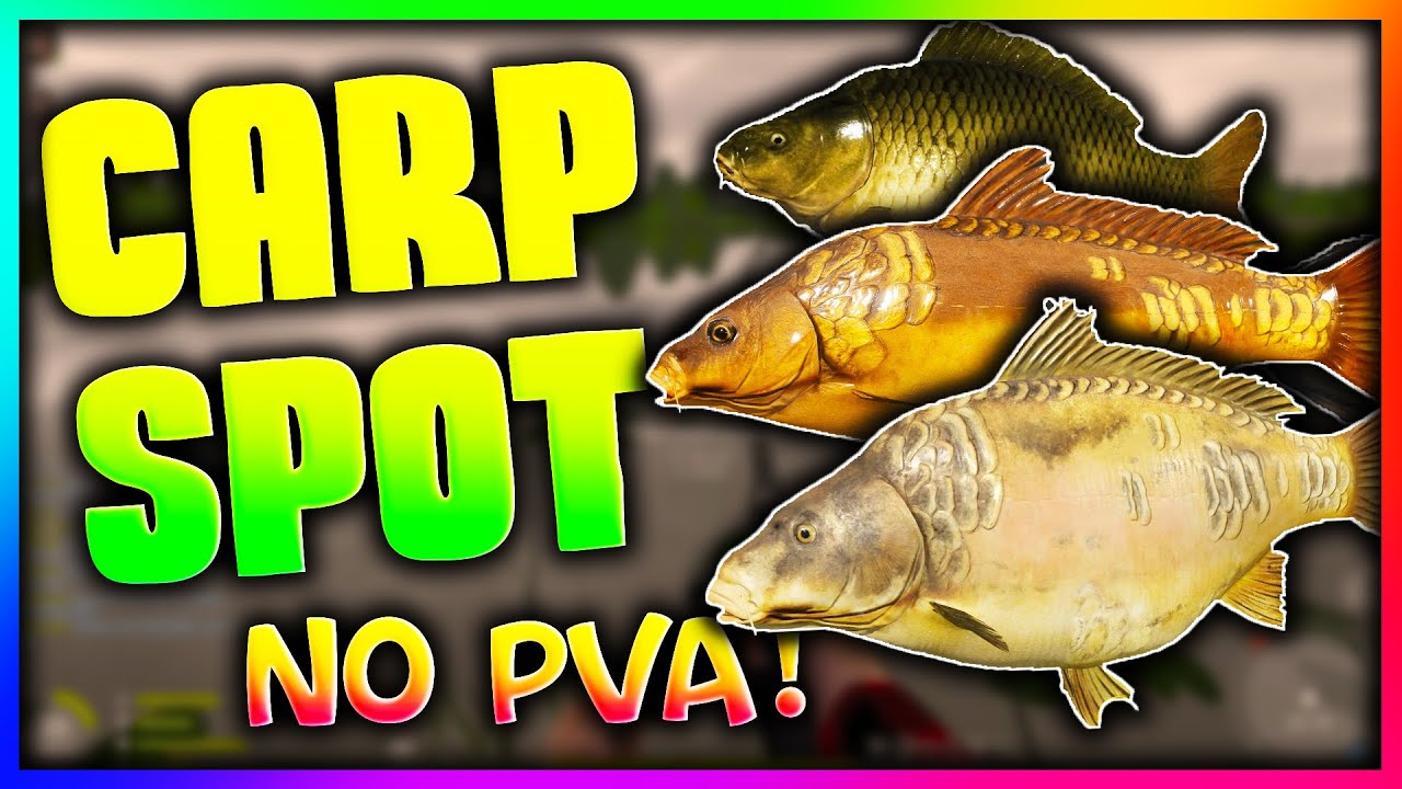 Russian Fishing 4 🎣 VERY ACTIVE CARP SPOT ON AMBER LAKE 🐟 NO PVA 🐟 SILVER FARMING