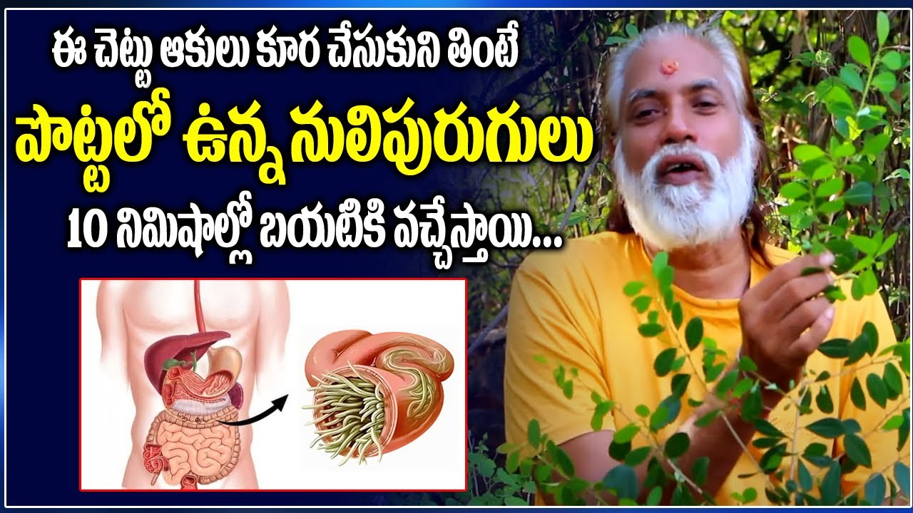 ఈ ఆకు పొట్టలో ఉన్న నులి పురుగులు వెంటనే బయటికి వచ్చేస్తాయి  || Remedies For Intestinal Worms