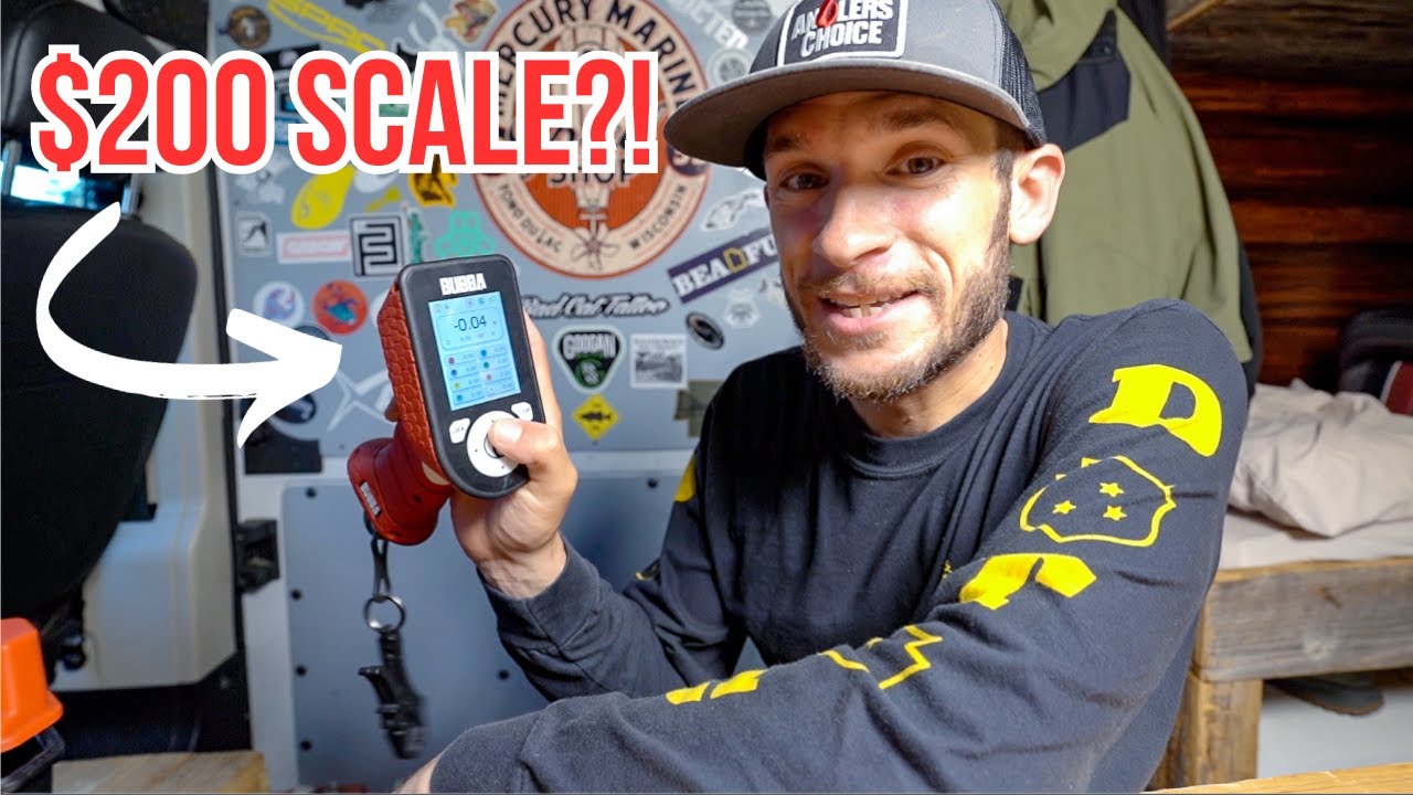 The TRUTH About the $200 Bubba Scale....