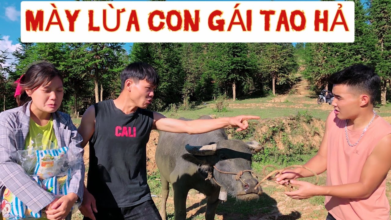 NGÔ THÓC - (Tập 32) LẤY CON TRÂU ĐỔI BIM BIM