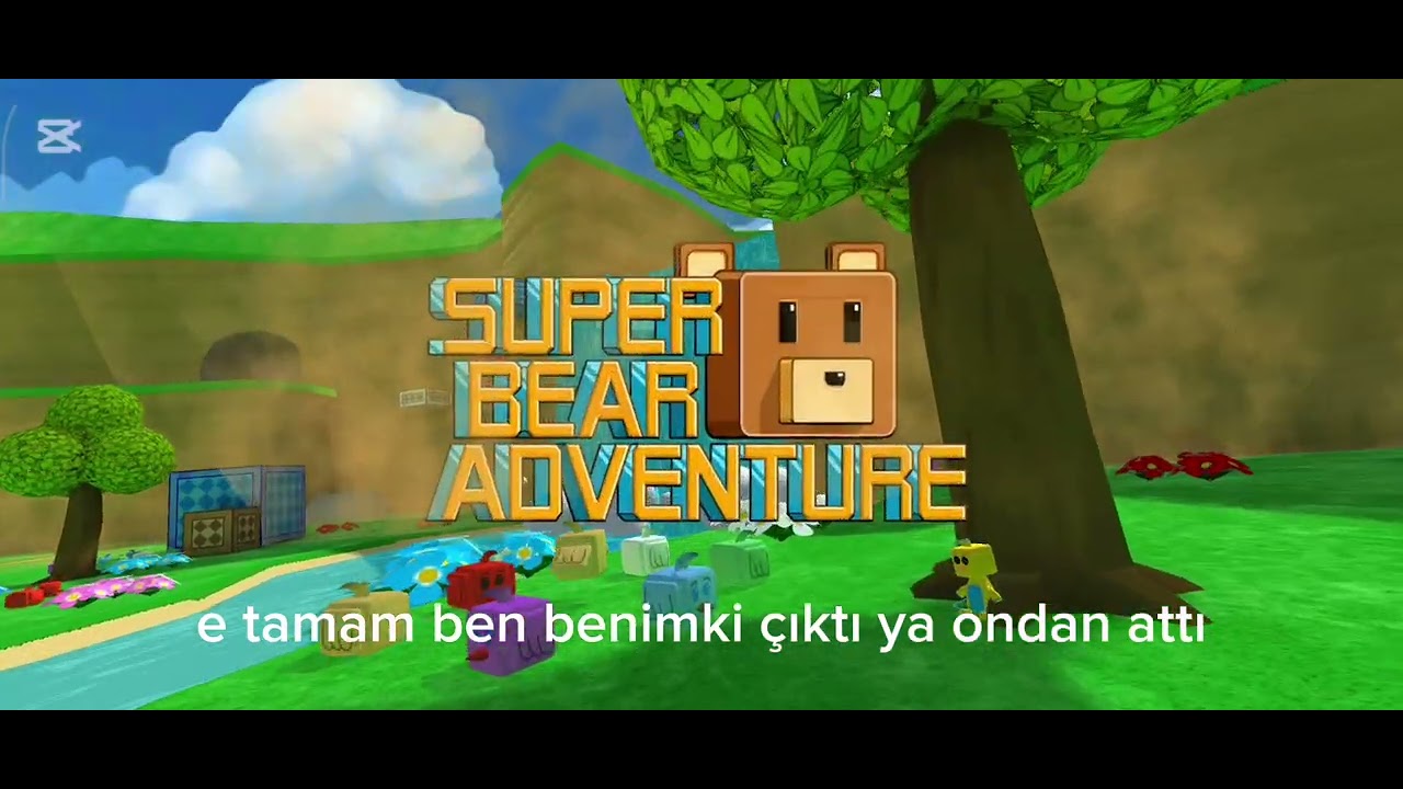 Arkadaşlar neden se video bir anda kapandı ve video sese göre biraz gecikmiş 