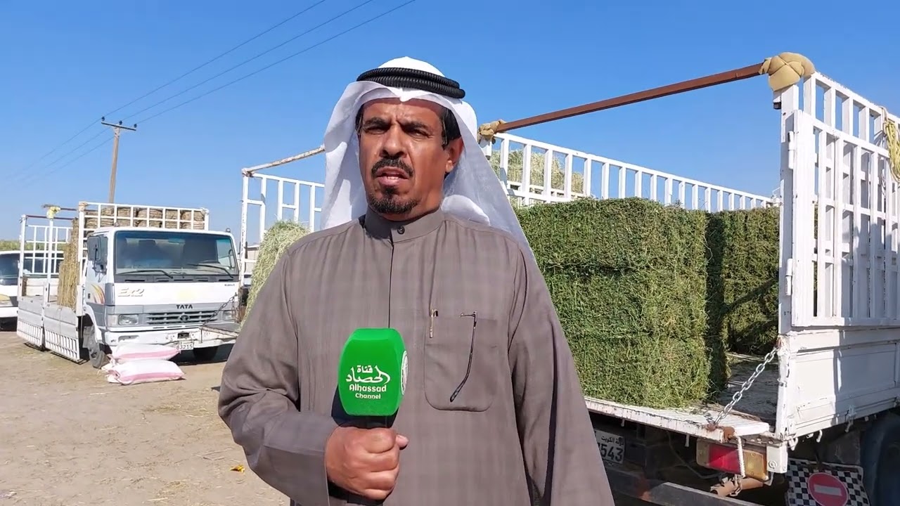 انحسار المراعي ونقص الأعلاف وغلاء أسعارها يؤرق مربي الثروة الحيوانية في الكويت