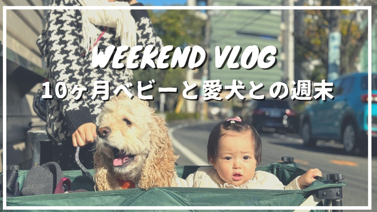 【vlog】10ヶ月ベビーと愛犬ルパンとまったり週末 Weekend Vlog (Eng Subs)