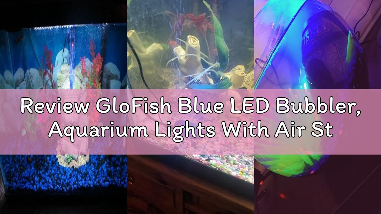 Review GloFish Blue LED Bubbler, Aquarium Lights With Air Stone For Fish Tanks