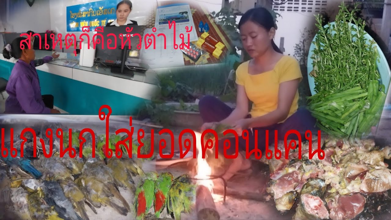 29 มกราคม ค.ศ. 2026พาแม่ไปหาหมอ[ພາແມ່ໄປຫາຫມໍ]