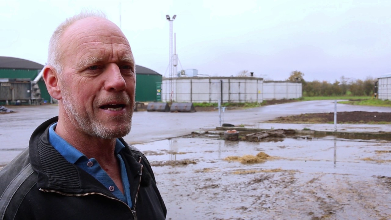 Økologisk biogas