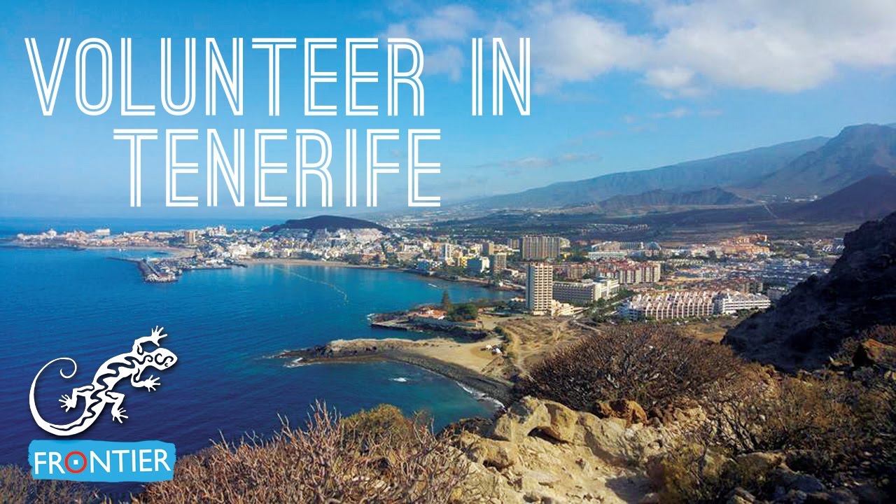 Volunteer in Tenerife - Whale & Dolphin Conservation Project