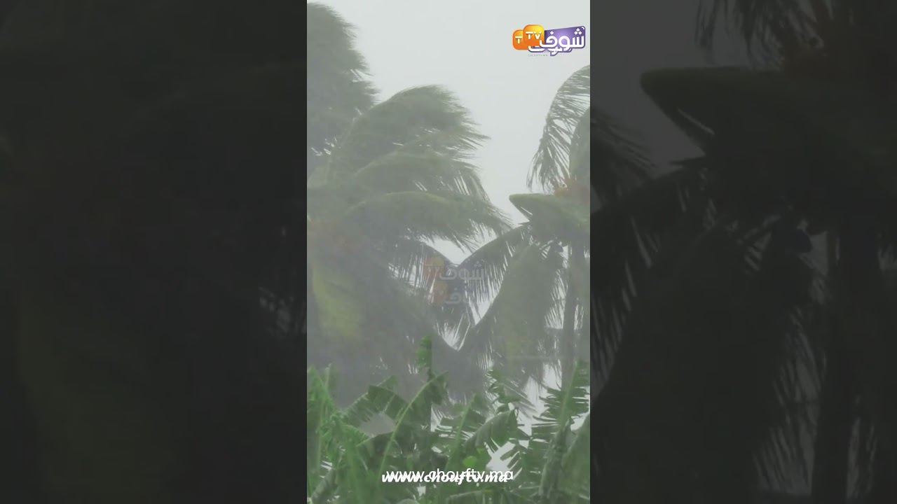 مديرية الأرصاد الجوية تتوقع ارتفاعا في درجات الحرارة خلال الأيام المقبلة