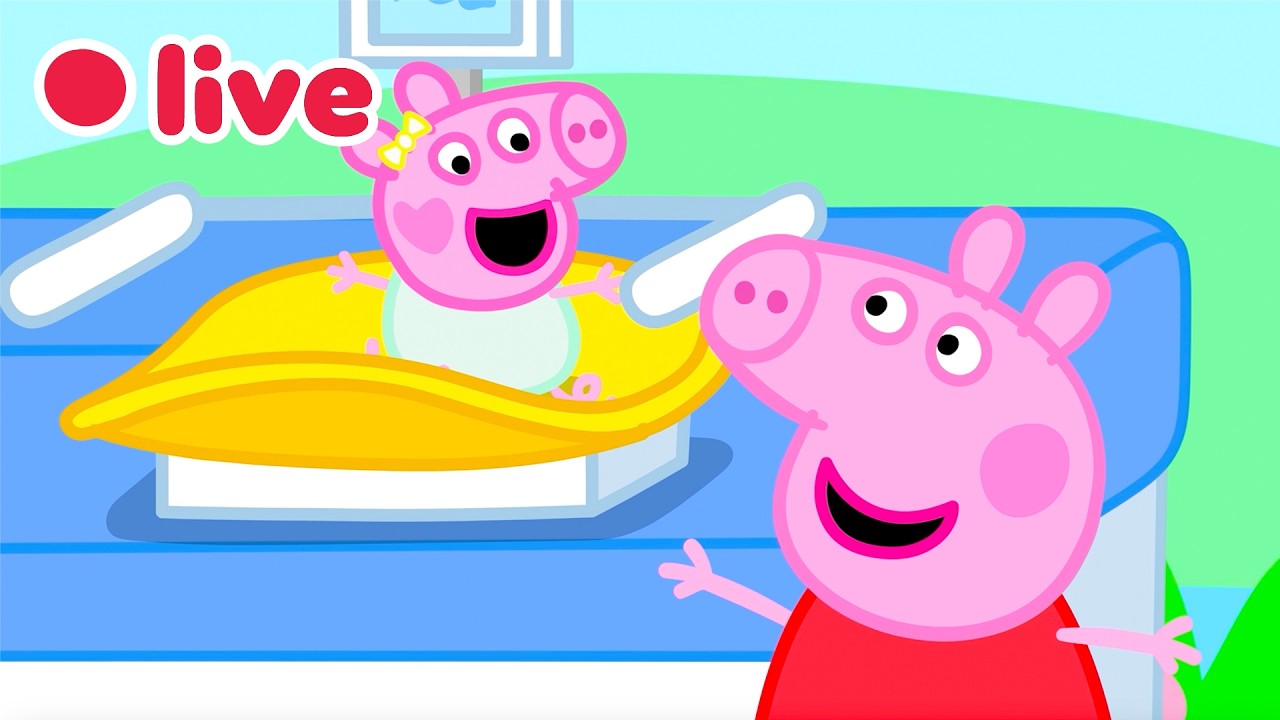 🔴 AO VIVO ⭐ Os melhores momentos de Peppa como irm&atilde; mais velha da Beb&ecirc; Evie! 🍼 Epis&oacute;dios Completos