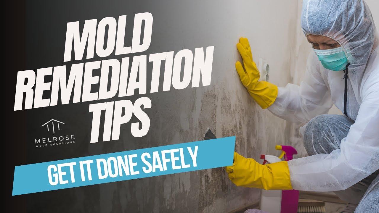 Mold Remediation 101 (EXPERT Tips for a Healthy Home)