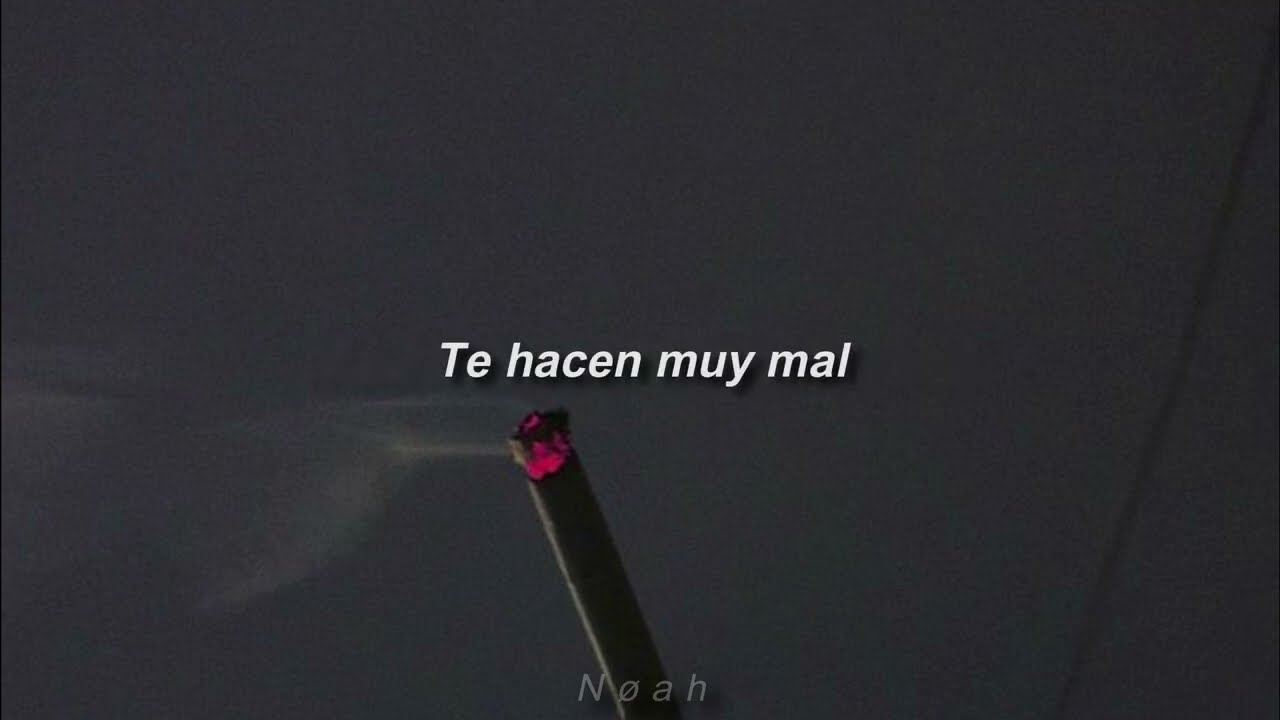 Perras on the beach - Puchos [Letra]