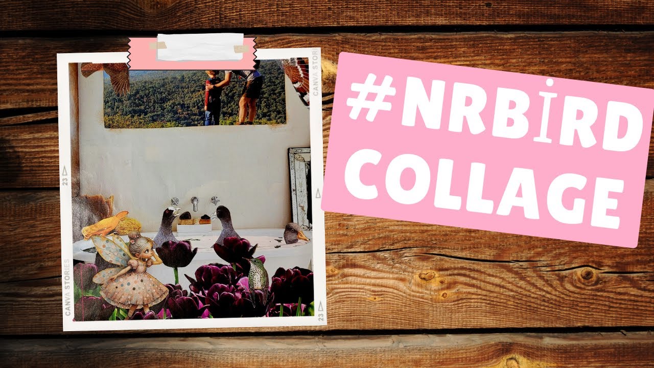 #nrbirdcollage Nellie & Ruth For the Birds Challenge | Bird Bath |  #surrealcollage #collage