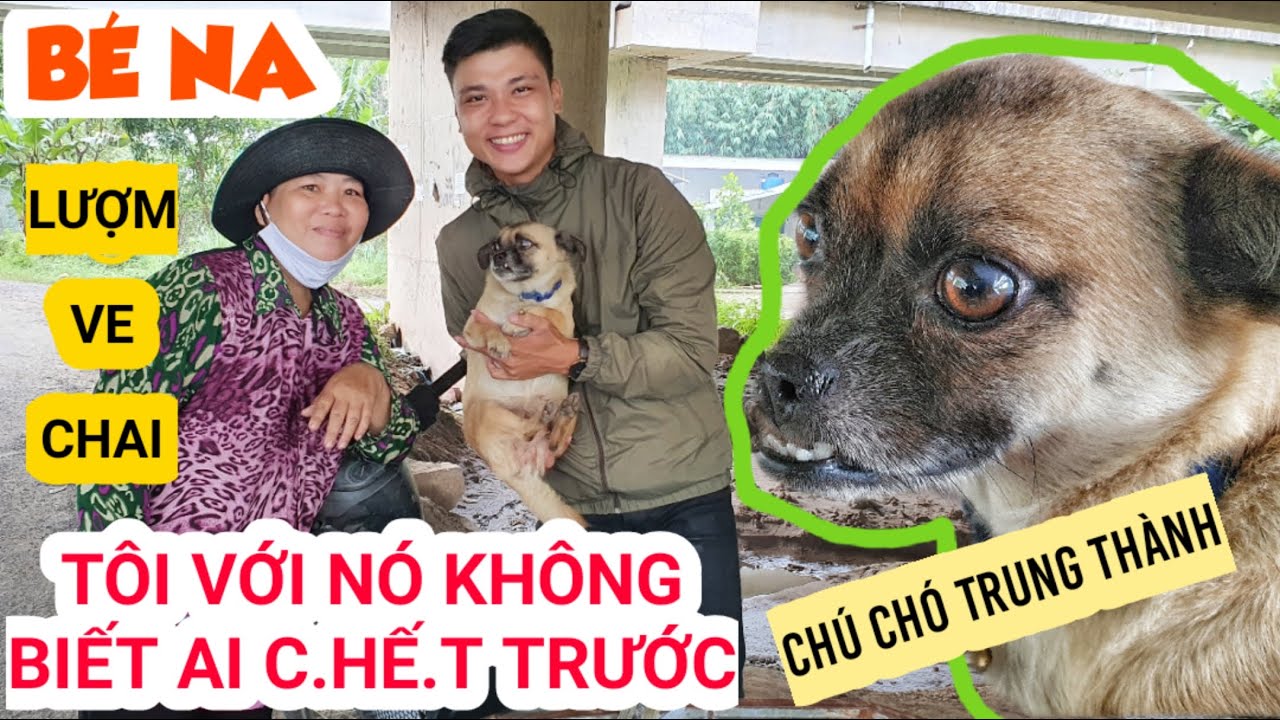 Câu chuyện cảm động về hai mẹ con Bé Na, thương chú chó như Con Ruột ai mua bao nhiêu cũng không bán