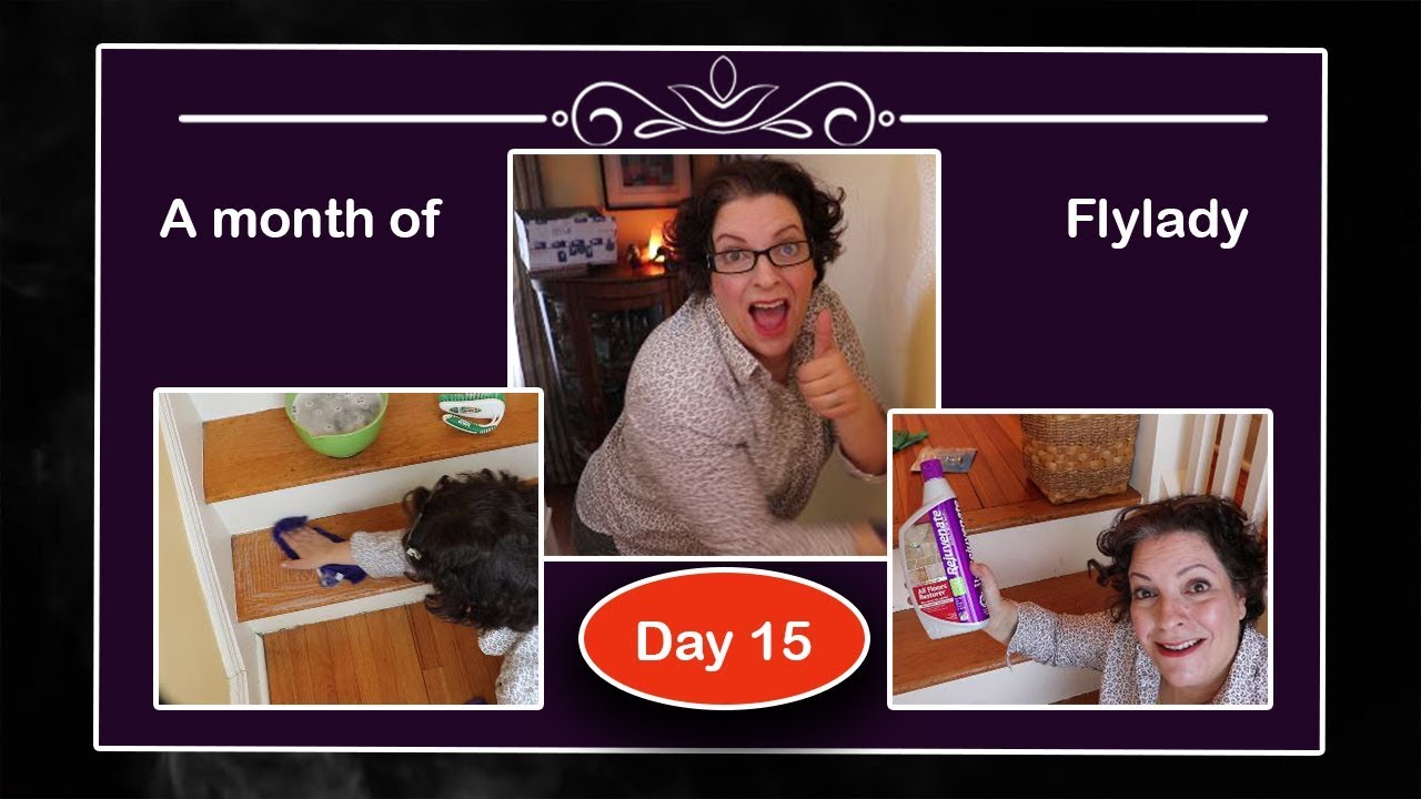 ⏱️ A Month of FlyLady Cleaning and Decluttering || 02/15/19 || Zone 3 ||| Day 15 ⏱️